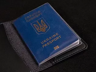 Шкіряна обкладинка для паспорта книжечки з тисненням та малюнком голови лева