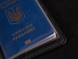 Шкіряна обкладинка для паспорта книжечки з тисненням та малюнком голови лева